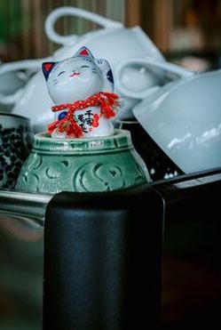 chia sẻ Nohu